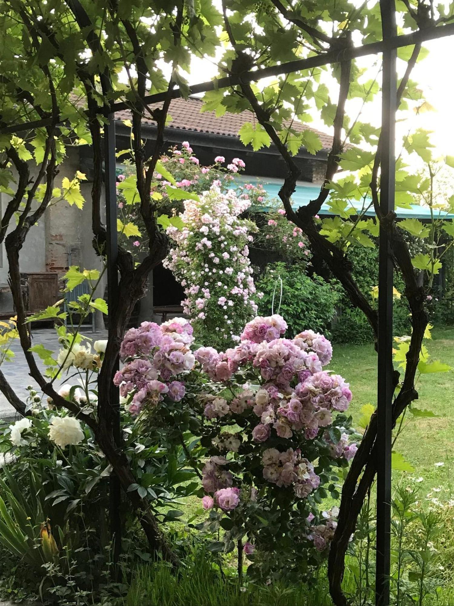 Bricherasio B&B Cascina Marie المظهر الخارجي الصورة