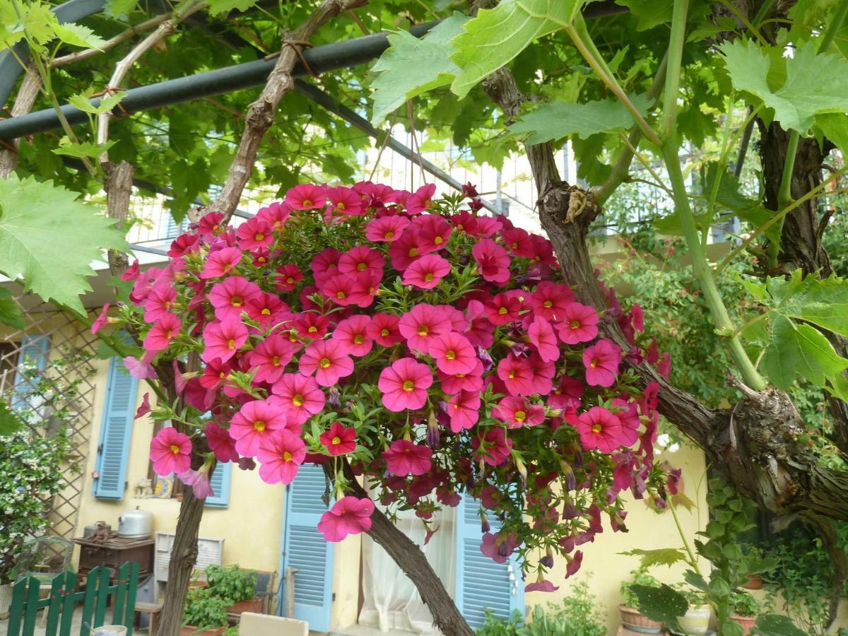 Bricherasio B&B Cascina Marie المظهر الخارجي الصورة