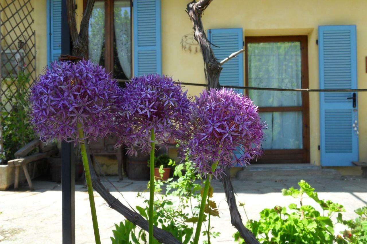 Bricherasio B&B Cascina Marie المظهر الخارجي الصورة